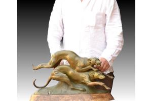 Francisque. Greyhounds group